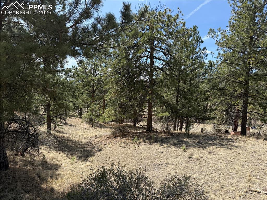 99 Cheyenne Way Florissant CO 80816