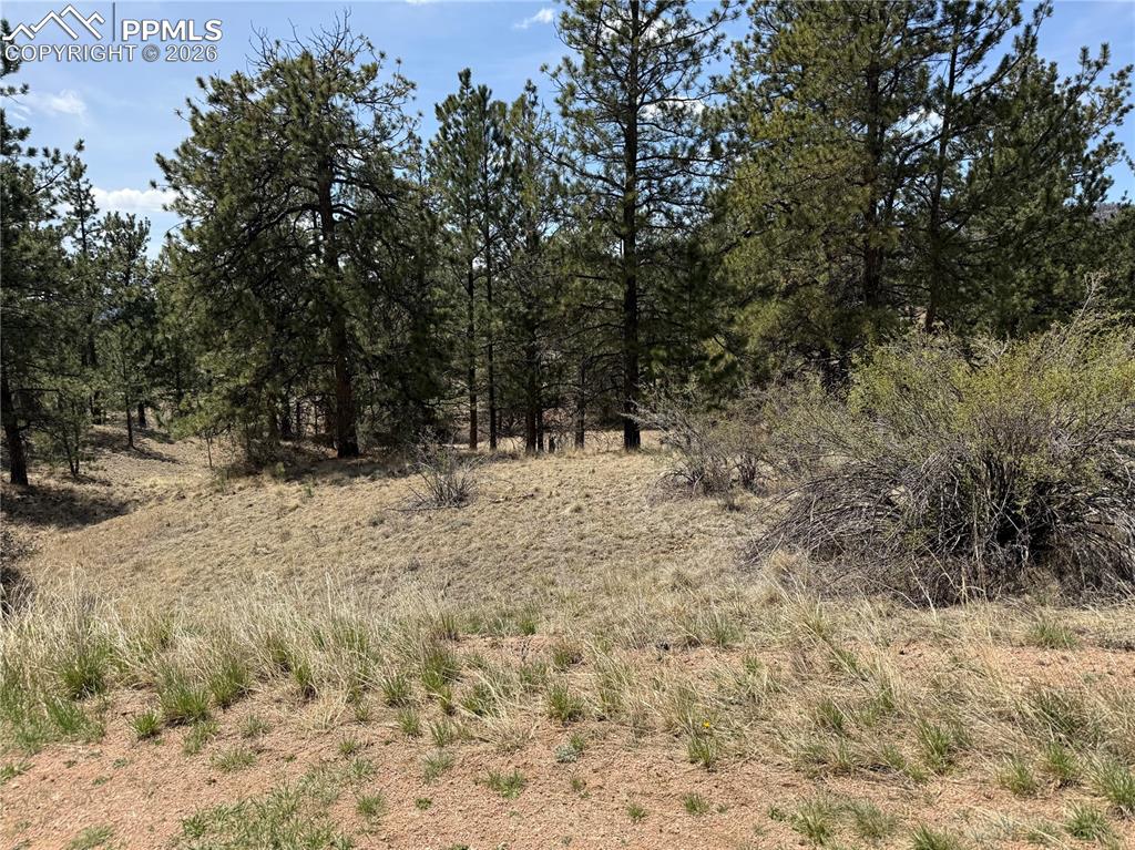 99 Cheyenne Way Florissant CO 80816