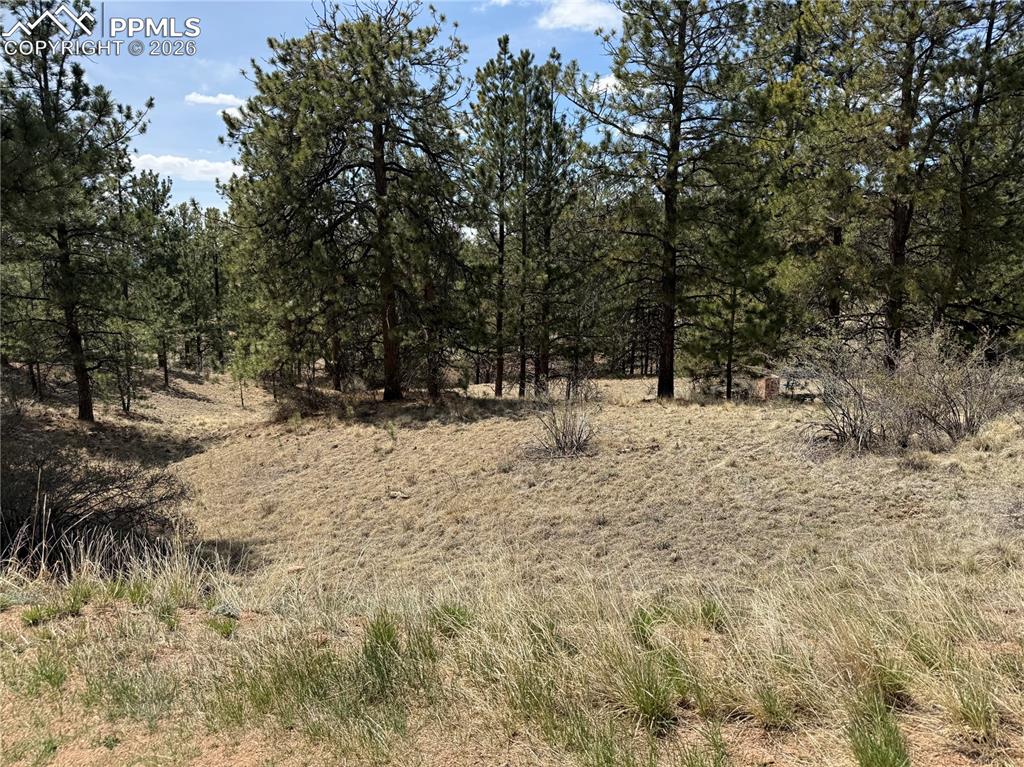 99 Cheyenne Way Florissant CO 80816