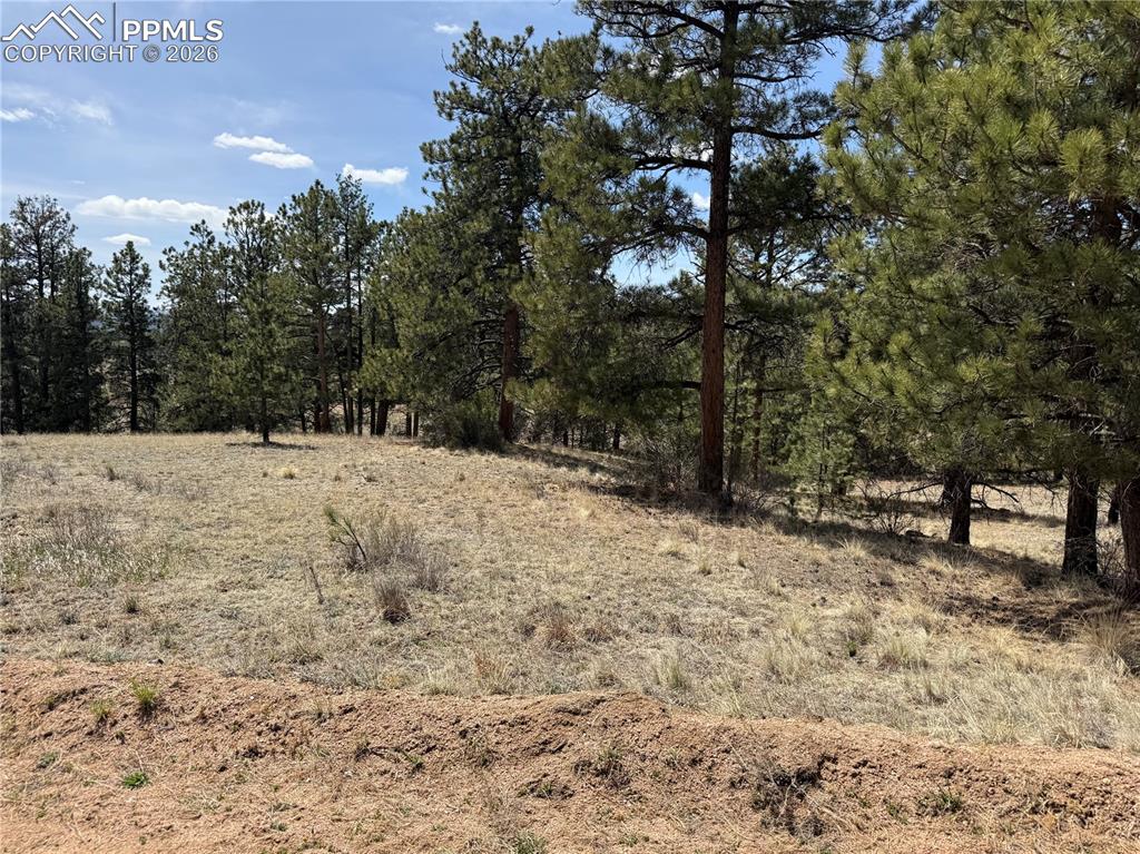 99 Cheyenne Way Florissant CO 80816