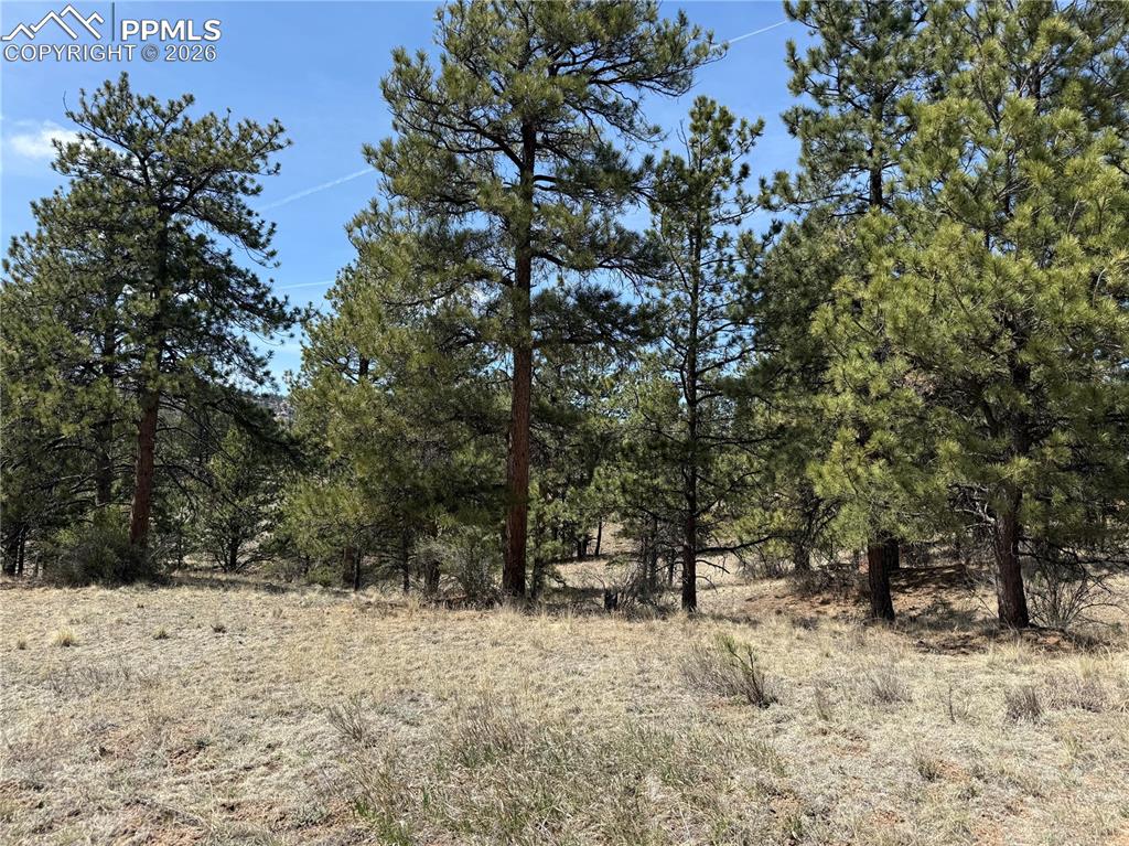 99 Cheyenne Way Florissant CO 80816