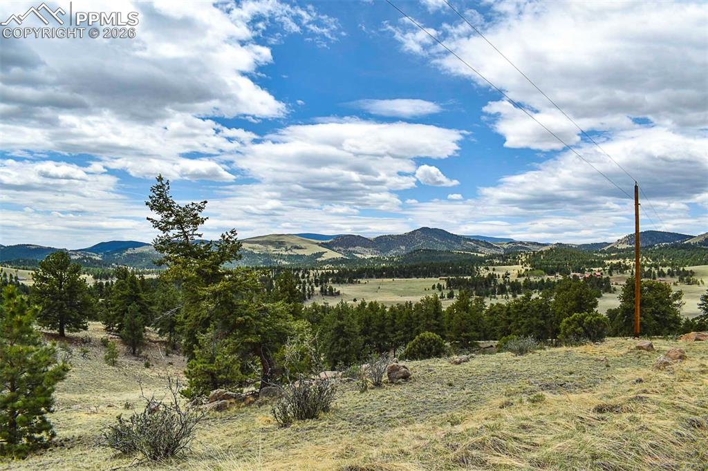 422 Buck Drive Guffey CO 80820