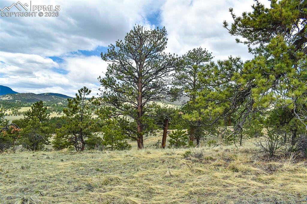422 Buck Drive Guffey CO 80820