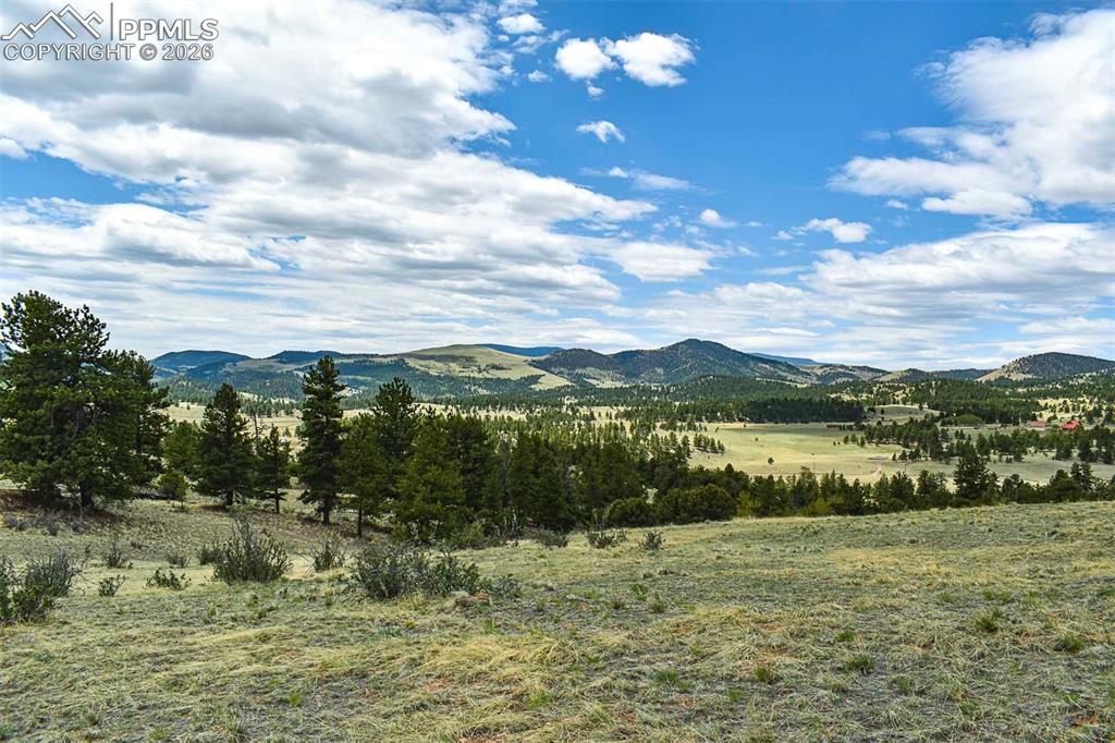 422 Buck Drive Guffey CO 80820