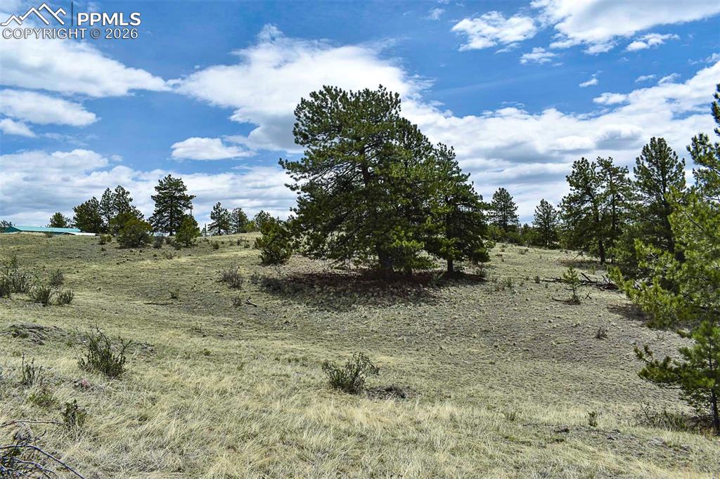 422 Buck Drive Guffey CO 80820