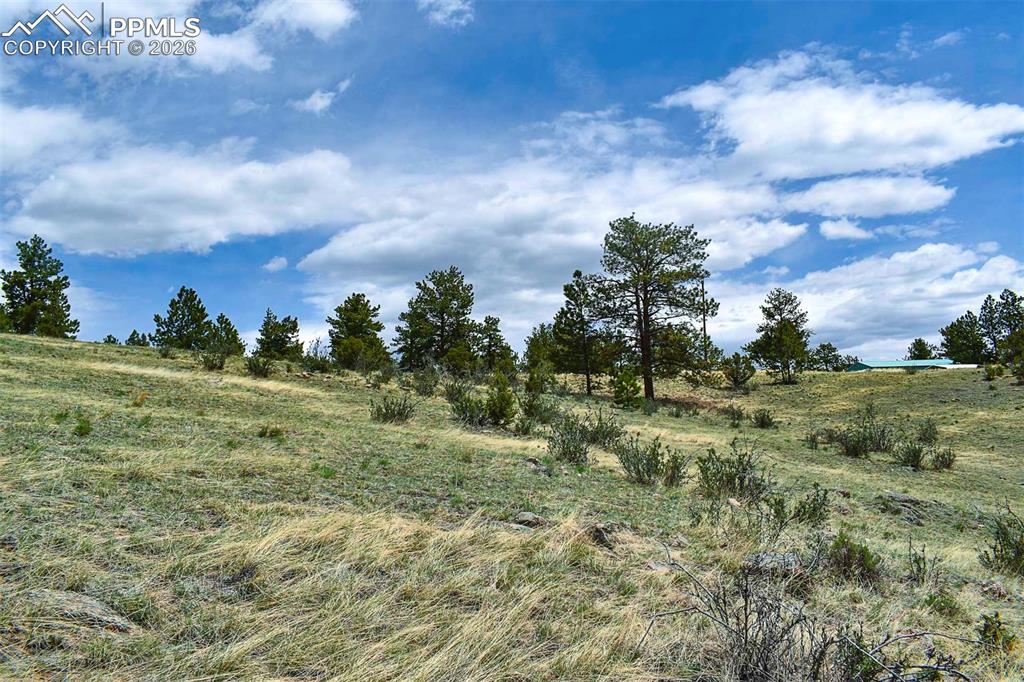 422 Buck Drive Guffey CO 80820