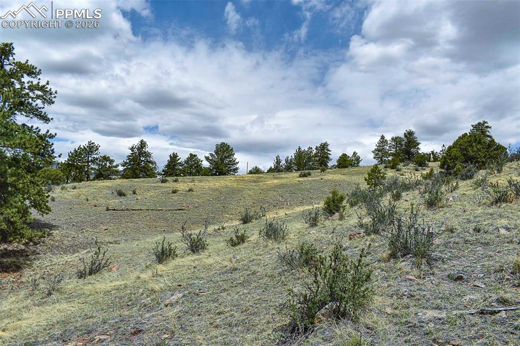 422 Buck Drive Guffey CO 80820