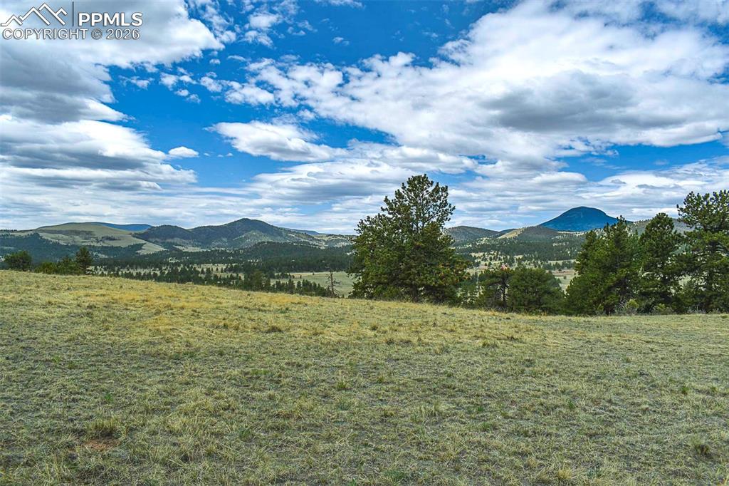 422 Buck Drive Guffey CO 80820