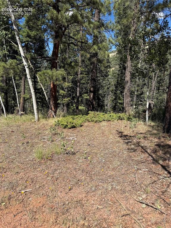 1007 Derby Drive Cripple Creek CO 80813