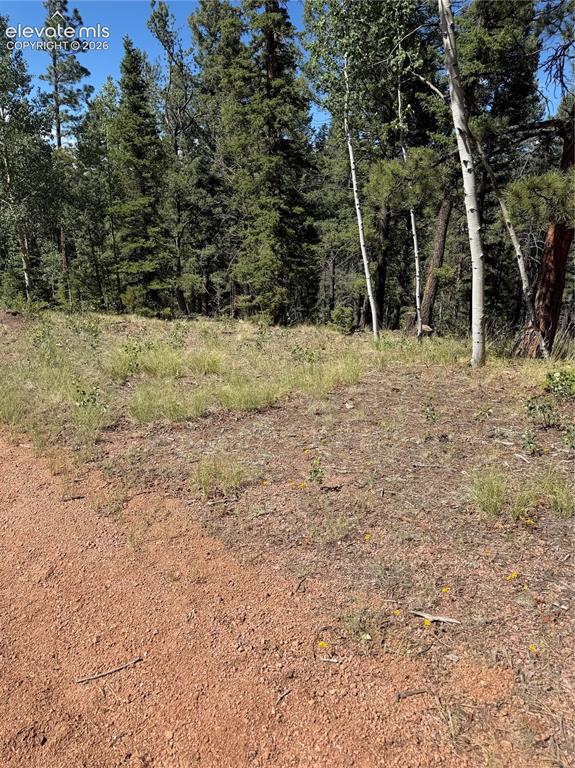 1007 Derby Drive Cripple Creek CO 80813