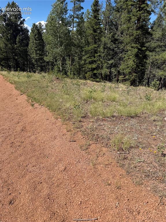 1007 Derby Drive Cripple Creek CO 80813