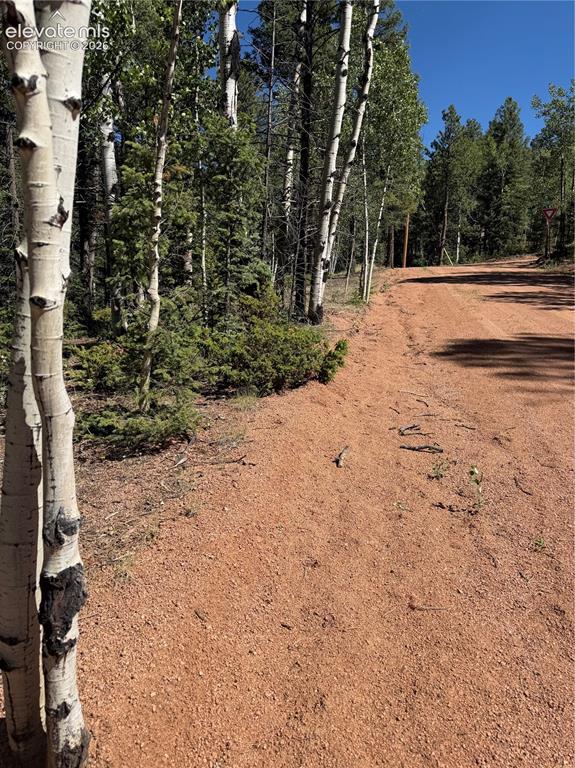 1007 Derby Drive Cripple Creek CO 80813