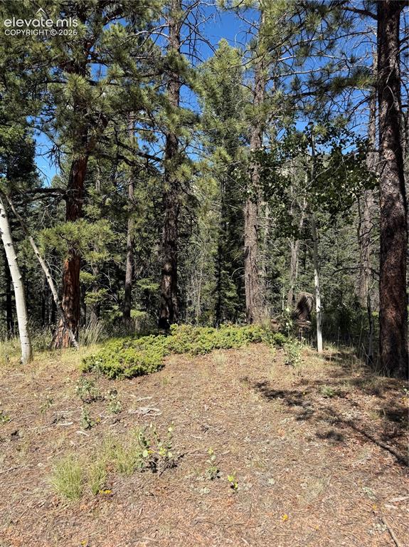 1007 Derby Drive Cripple Creek CO 80813