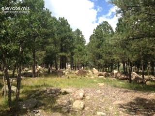 667 Silver Oak Grove Colorado Springs CO 80906