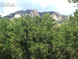 667 Silver Oak Grove Colorado Springs CO 80906