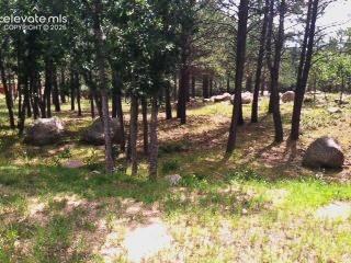 667 Silver Oak Grove Colorado Springs CO 80906