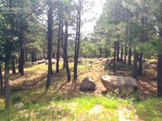 667 Silver Oak Grove Colorado Springs CO 80906