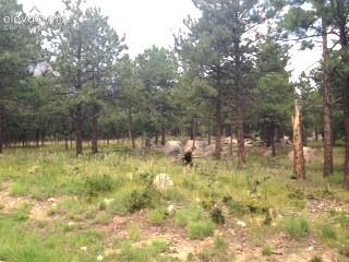 667 Silver Oak Grove Colorado Springs CO 80906