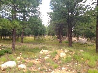 667 Silver Oak Grove Colorado Springs CO 80906
