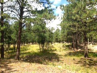 667 Silver Oak Grove Colorado Springs CO 80906