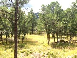 667 Silver Oak Grove Colorado Springs CO 80906