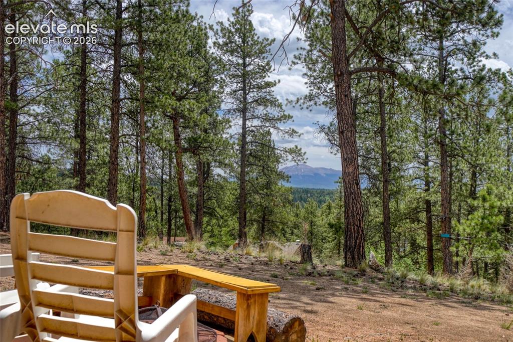 2927 Pathfinder Road Florissant CO 80816