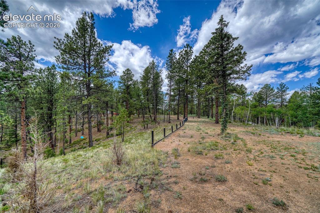2927 Pathfinder Road Florissant CO 80816