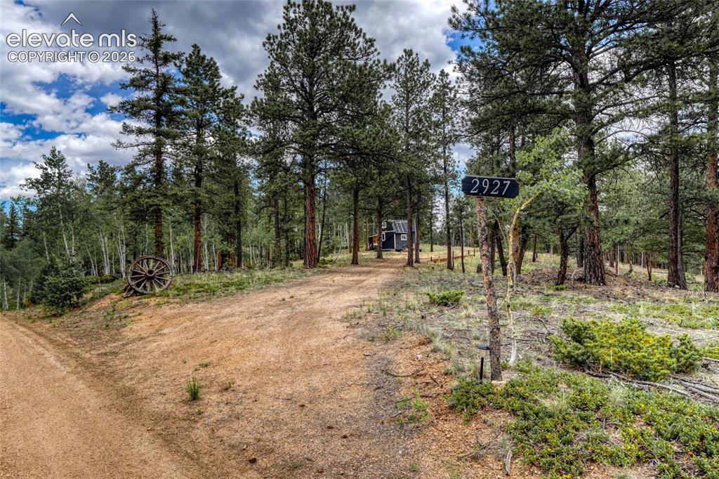 2927 Pathfinder Road Florissant CO 80816
