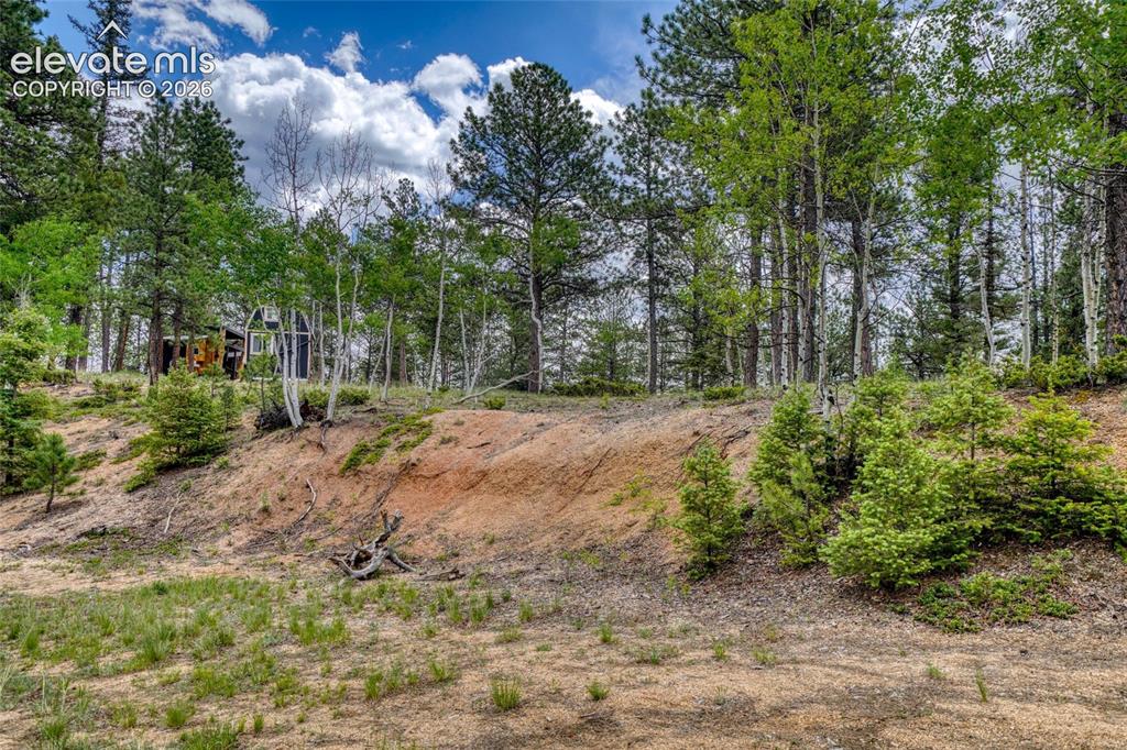 2927 Pathfinder Road Florissant CO 80816