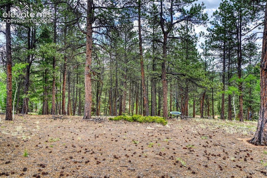 2927 Pathfinder Road Florissant CO 80816