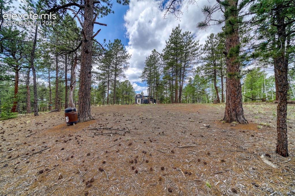 2927 Pathfinder Road Florissant CO 80816