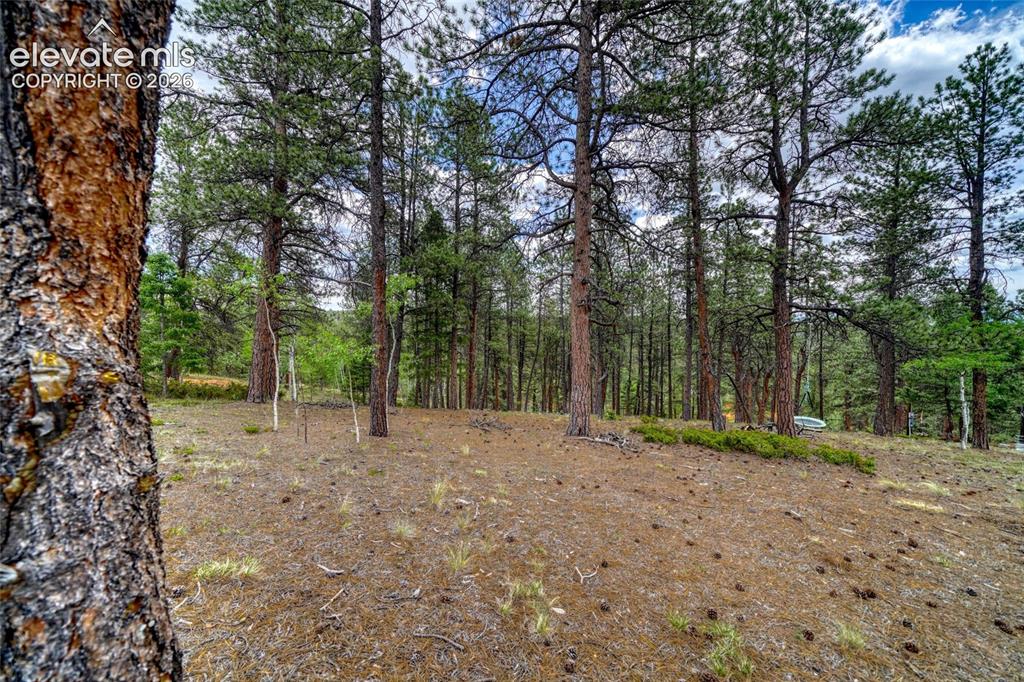 2927 Pathfinder Road Florissant CO 80816