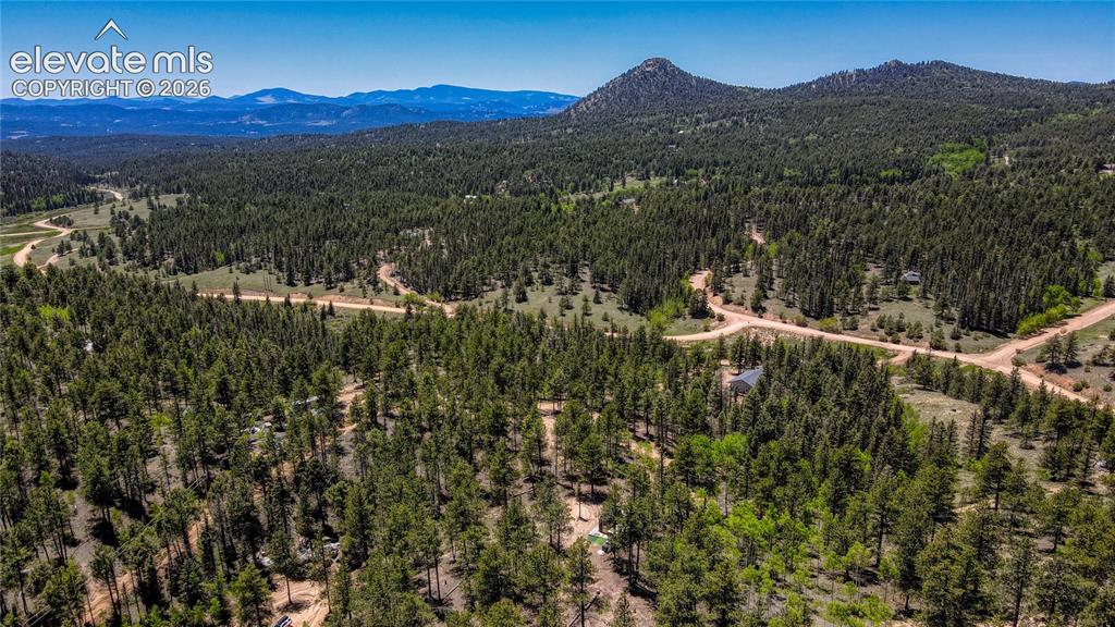 2927 Pathfinder Road Florissant CO 80816