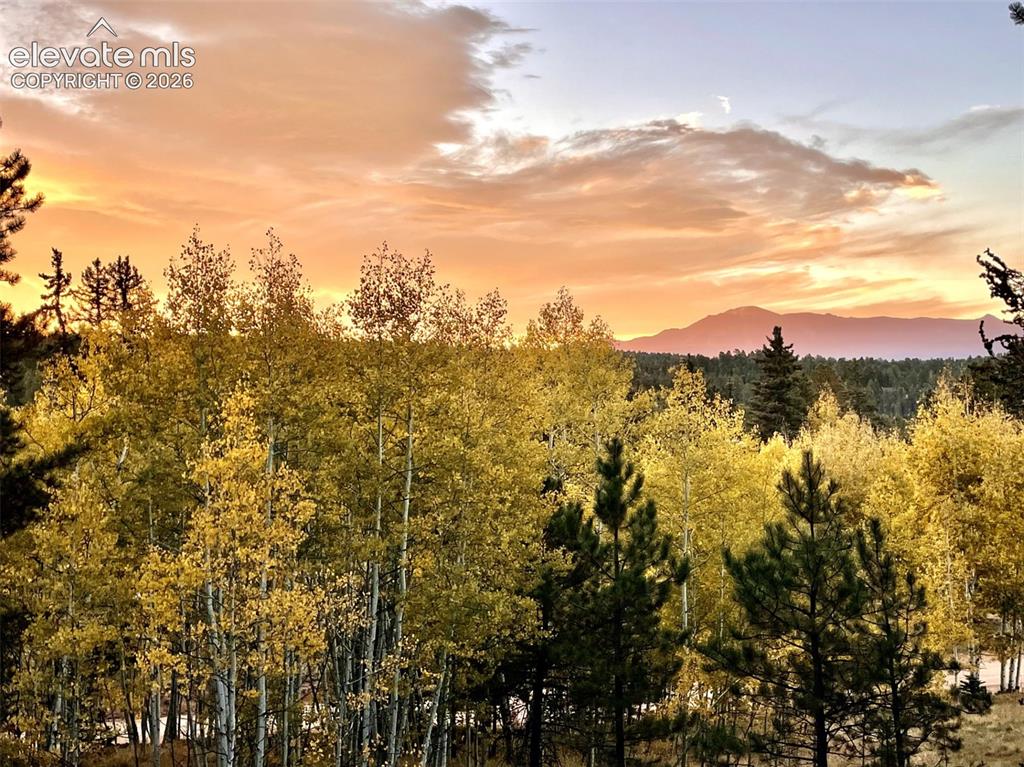 2927 Pathfinder Road Florissant CO 80816