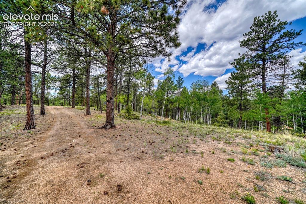 2927 Pathfinder Road Florissant CO 80816
