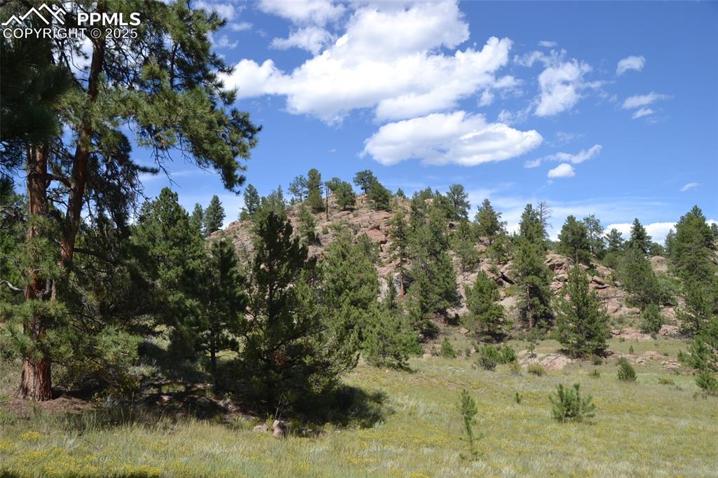 Tbd Golden Eagle Heights Florissant CO 80816