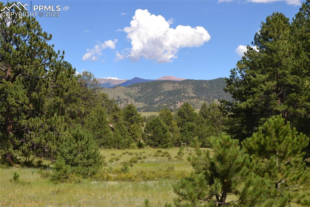 Tbd Golden Eagle Heights Florissant CO 80816