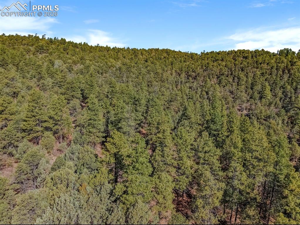230 Old Mission Road Trinidad CO 81082