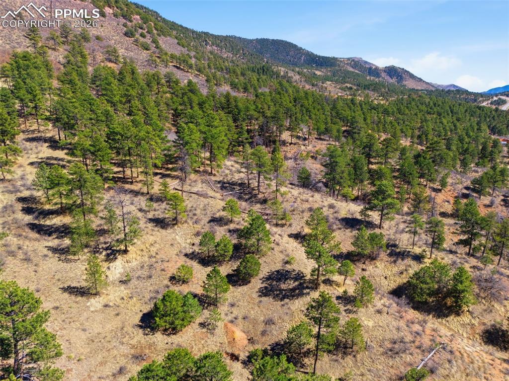 11070 W Highway 24 Cascade CO 80819