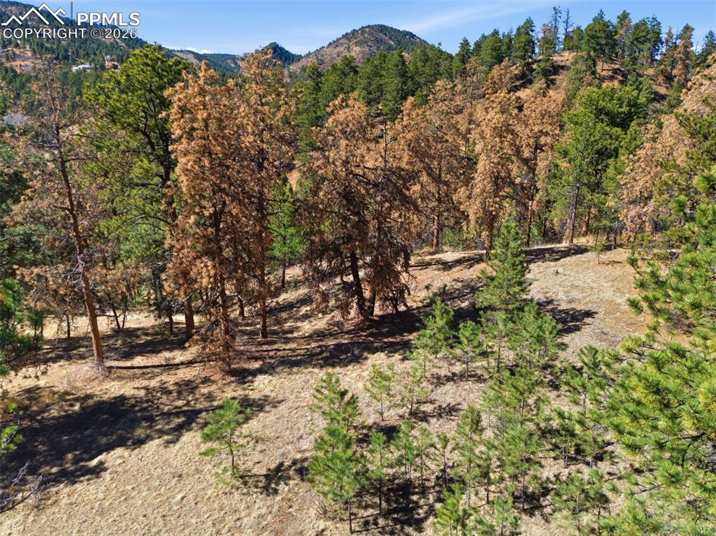 11070 W Highway 24 Cascade CO 80819