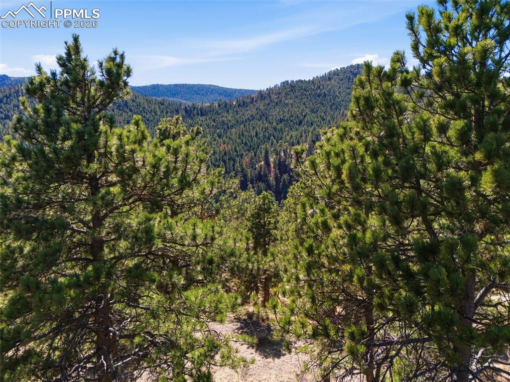 11070 W Highway 24 Cascade CO 80819