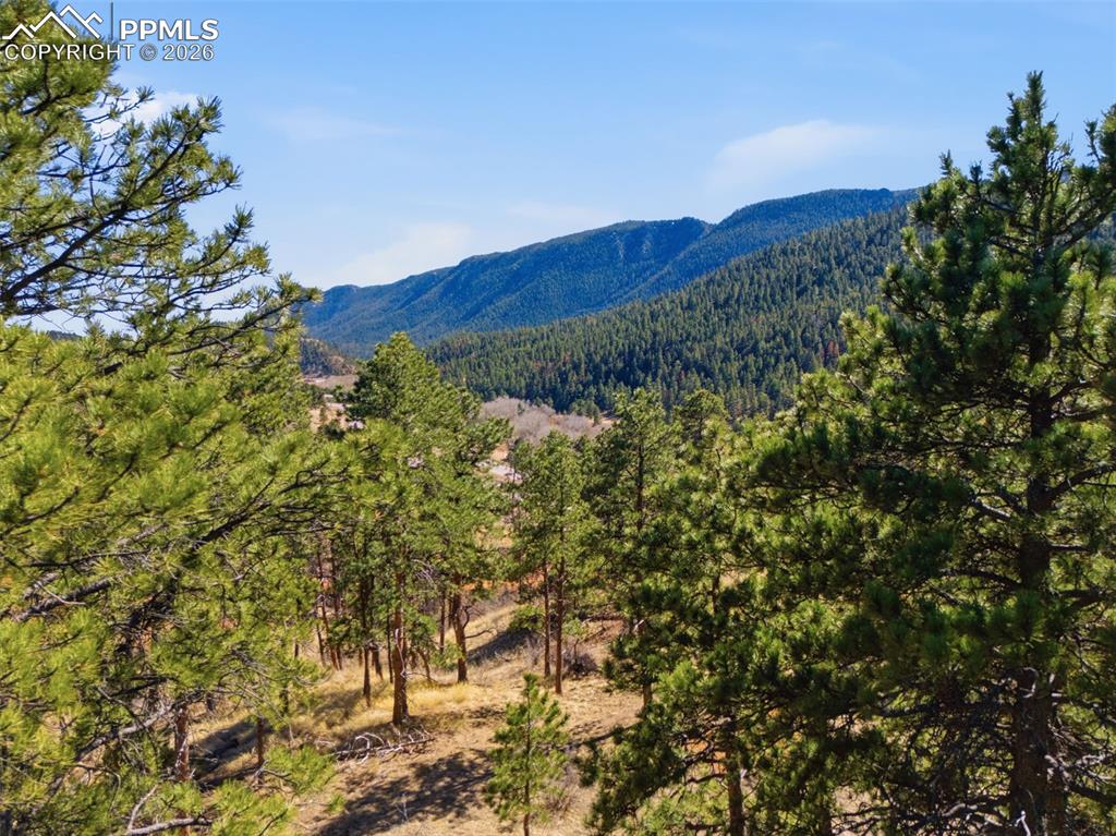 11070 W Highway 24 Cascade CO 80819