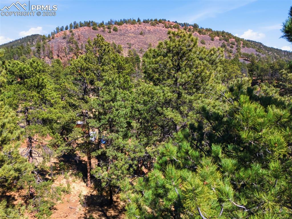 11070 W Highway 24 Cascade CO 80819