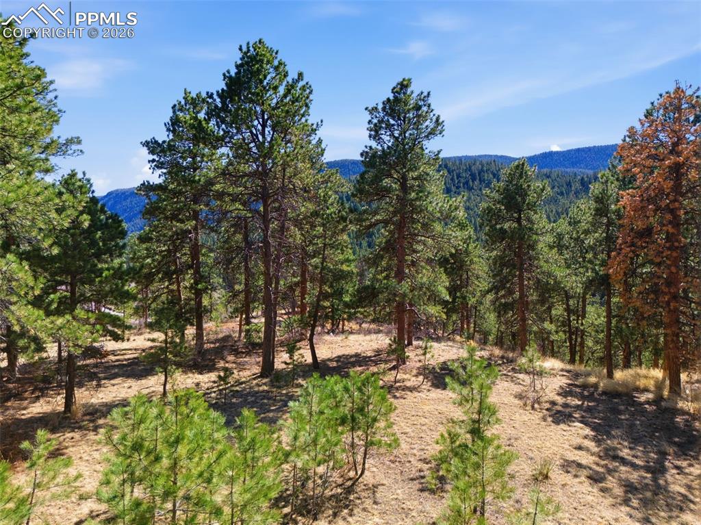 11070 W Highway 24 Cascade CO 80819