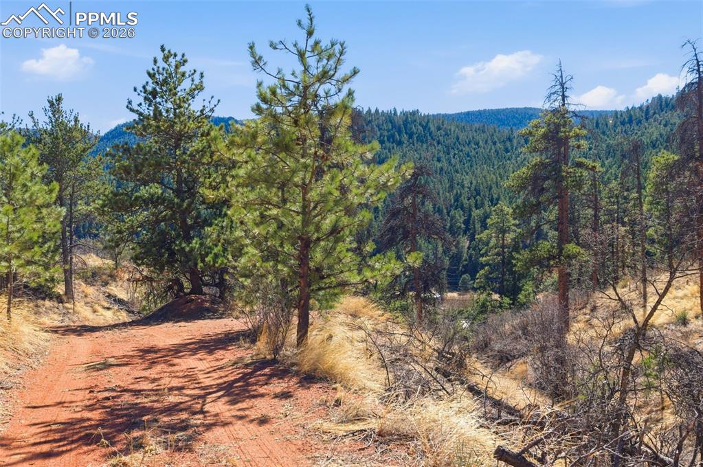11070 W Highway 24 Cascade CO 80819