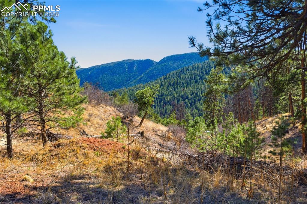 11070 W Highway 24 Cascade CO 80819
