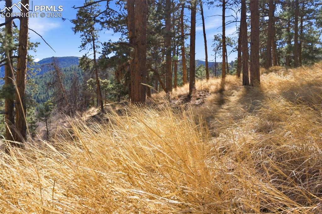 11070 W Highway 24 Cascade CO 80819