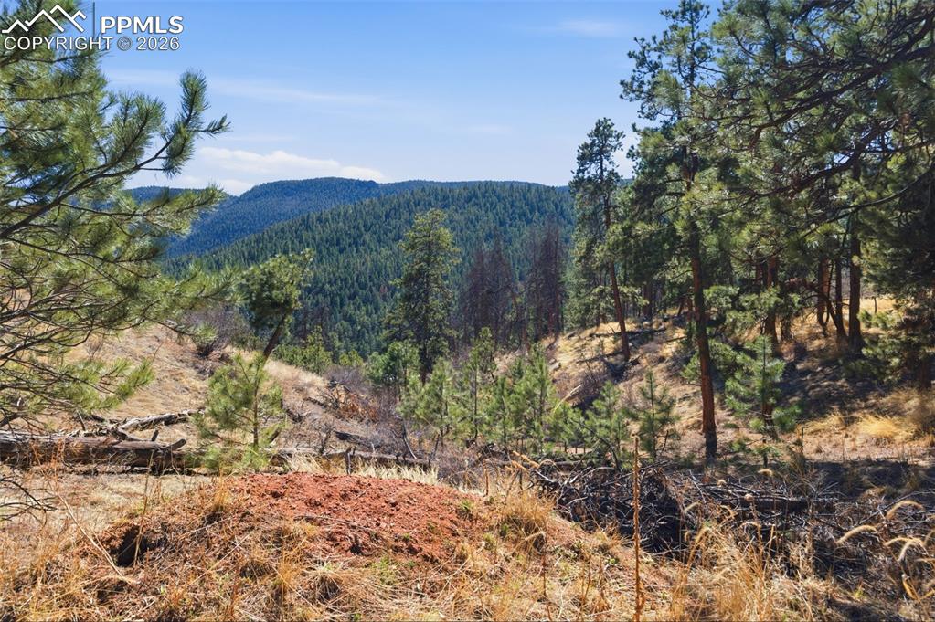 11070 W Highway 24 Cascade CO 80819