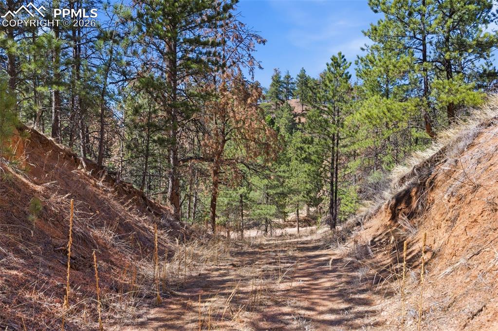 11070 W Highway 24 Cascade CO 80819