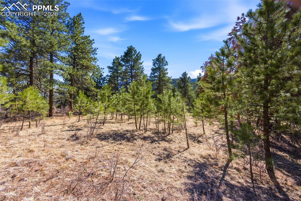 11070 W Highway 24 Cascade CO 80819